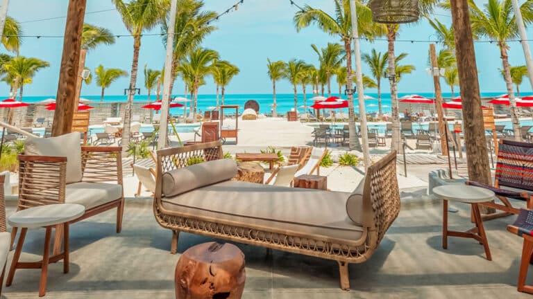 Adobe Express - file (5)