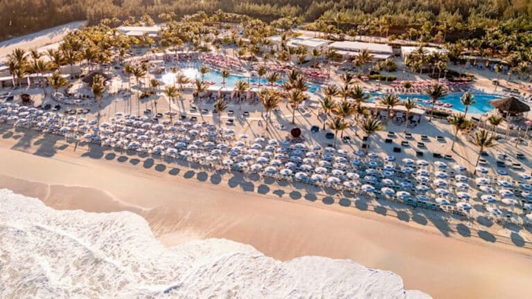 Adobe Express - file (6)