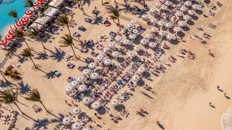 Adobe Express - file (7)